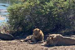 4 Day Safari Tsavo East Tsavo West and Amboseli
