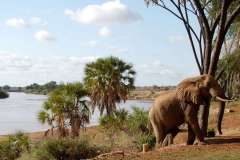 4 Day Safari Tsavo East Tsavo West and Amboseli
