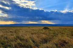 IMG-20210918-WA0121