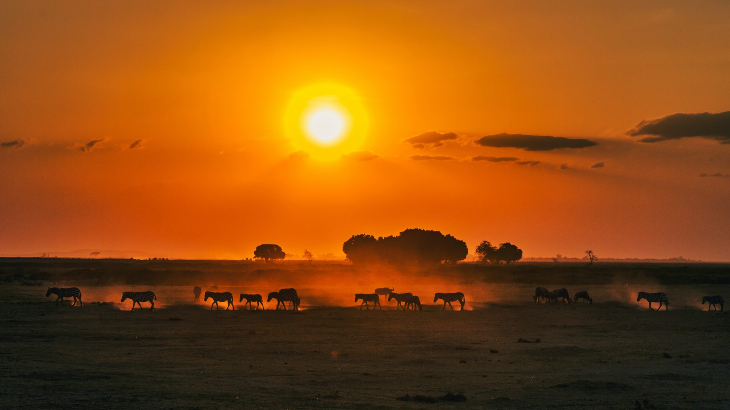 2 Day Safari Tsavo East