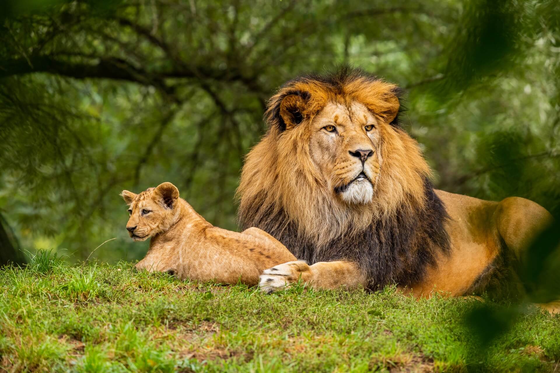 3 Day Safari Tsavo East and Tsavo West