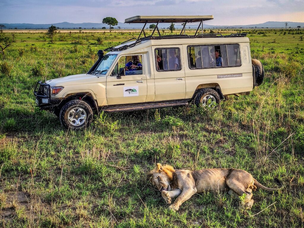 7 Day Safari Masai Mara, Lake Nakuru, Amboseli and Tsavo East