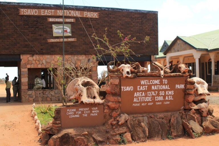 3 Day Safari Tsavo and Amboseli